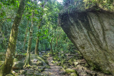 Tour de Vida Salvaje en el Valle