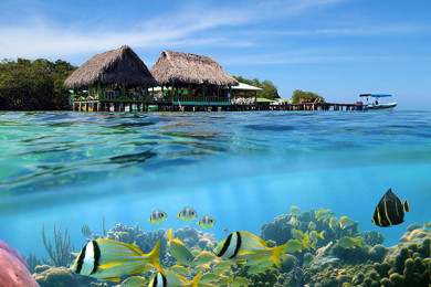 Archipiélago de Bocas del Toro - Día 1