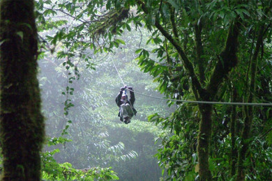 Canopy Monteverde